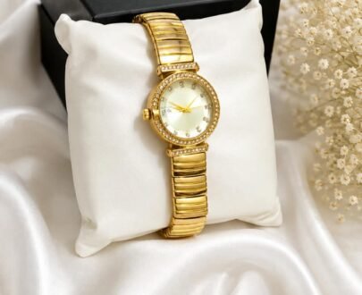 Ladies watch